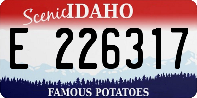 ID license plate E226317