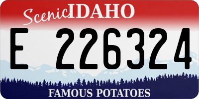 ID license plate E226324
