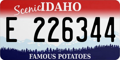 ID license plate E226344