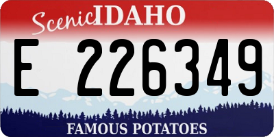 ID license plate E226349