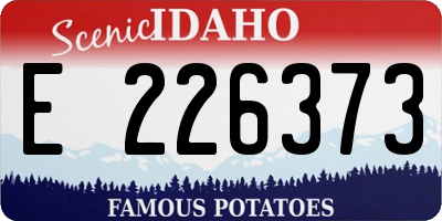 ID license plate E226373