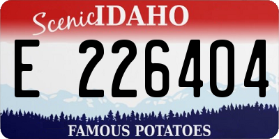 ID license plate E226404