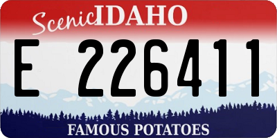 ID license plate E226411
