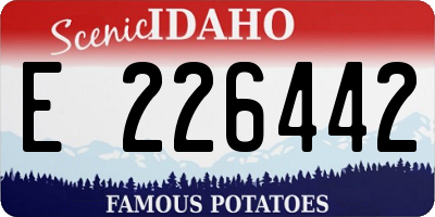 ID license plate E226442