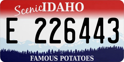 ID license plate E226443