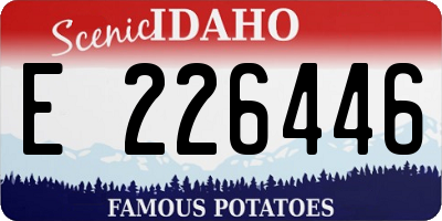 ID license plate E226446