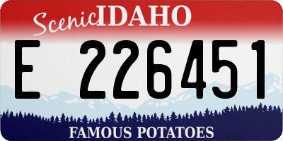 ID license plate E226451