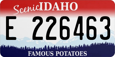 ID license plate E226463