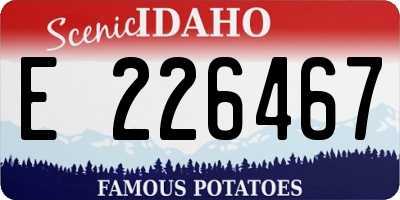 ID license plate E226467