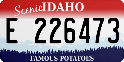 ID license plate E226473
