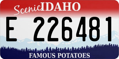 ID license plate E226481