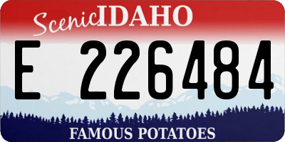 ID license plate E226484