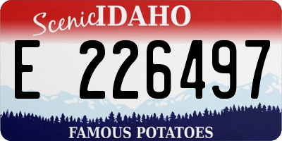 ID license plate E226497