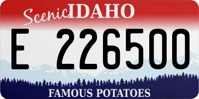 ID license plate E226500