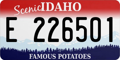 ID license plate E226501