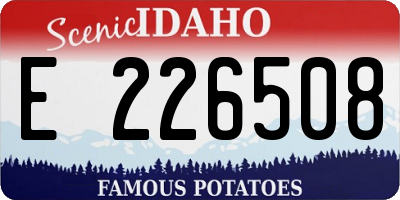 ID license plate E226508