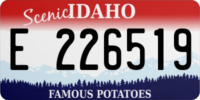 ID license plate E226519