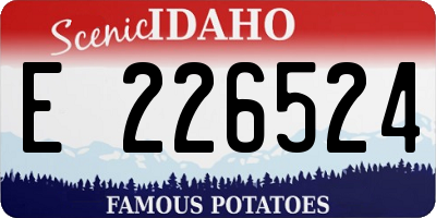 ID license plate E226524