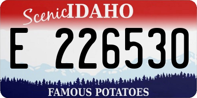 ID license plate E226530