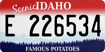 ID license plate E226534