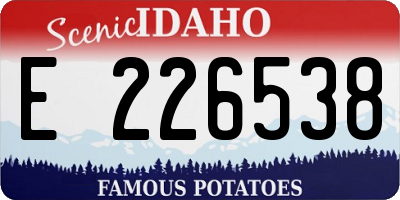 ID license plate E226538