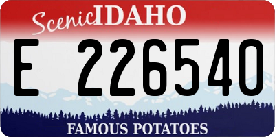 ID license plate E226540