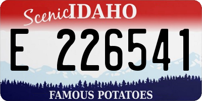 ID license plate E226541