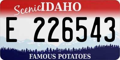 ID license plate E226543