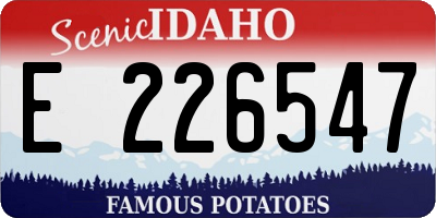 ID license plate E226547