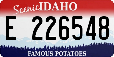 ID license plate E226548