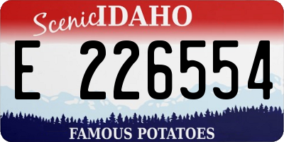 ID license plate E226554