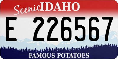 ID license plate E226567