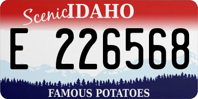 ID license plate E226568