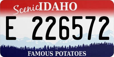 ID license plate E226572