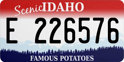 ID license plate E226576