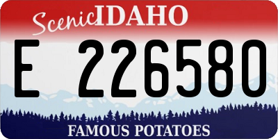 ID license plate E226580