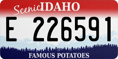 ID license plate E226591
