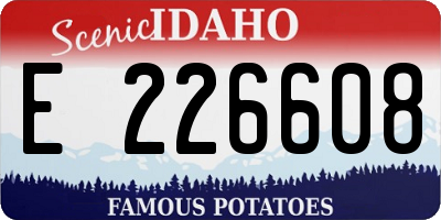 ID license plate E226608