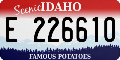 ID license plate E226610