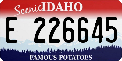 ID license plate E226645