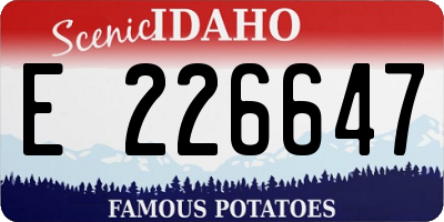 ID license plate E226647