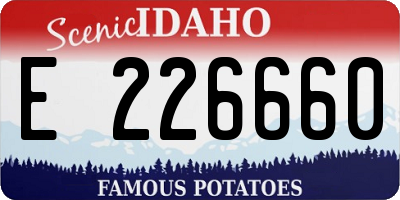 ID license plate E226660