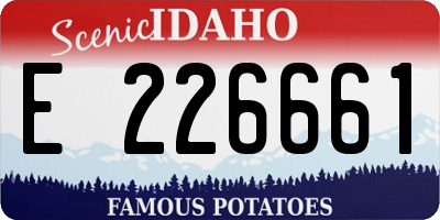 ID license plate E226661