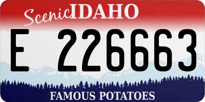 ID license plate E226663