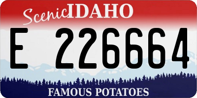 ID license plate E226664