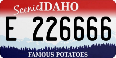 ID license plate E226666