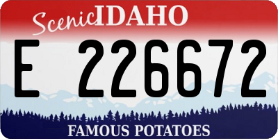 ID license plate E226672