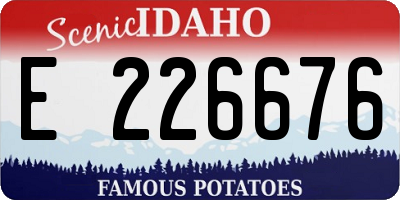 ID license plate E226676
