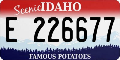 ID license plate E226677