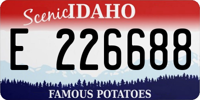 ID license plate E226688